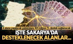 Sakarya'da yatırıma teşvik! 301 milyon TL destek sağlanacak