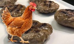 Nihat usta sen Köfteci misin Tavukçu mu!