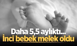 Daha 5,5 aylıktı... İnci bebek melek oldu