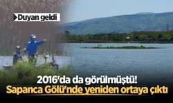 Sapanca Gölü çekildi: Gizemli ada yeniden ortaya çıktı