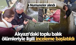 Akyazı'daki toplu balık ölümleriyle ilgili inceleme başlatıldı! Numuneler alındı