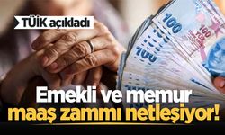 TÜİK rakamları açıkladı: Emekli ve memur maaş zammı netleşiyor!