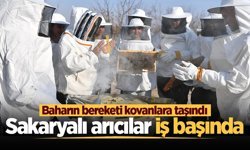 Baharın bereketi kovanlara taşındı: Sakaryalı arıcılar iş başında