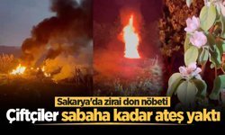 Sakarya'da zirai don nöbeti: Çiftçiler sabaha kadar ateş yaktı