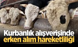 Kurbanlık alışverişinde erken alım hareketliliği