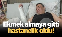 Ekmek almaya gitti, hastanelik oldu!