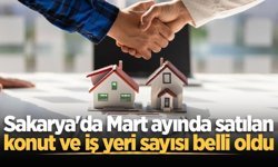 Sakarya'da Mart ayında satılan konut ve iş yeri sayısı belli oldu