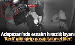 Adapazarı'nda esnafın hırsızlık isyanı: 'Kedi' gibi girip pasajı talan ettiler!