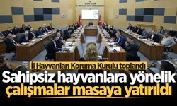 Sakarya'da sahipsiz hayvanlara yönelik çalışmalar masaya yatırıldı
