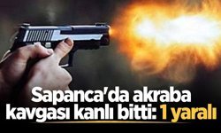 Sapanca'da akraba kavgası kanlı bitti: 1 yaralı