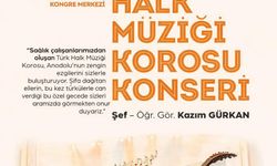 Sağlık çalışanları koro oluşturdu, Türk halk müziklerini seslendirecekler