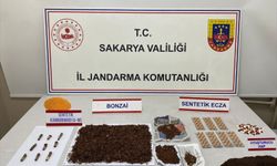 Sakarya'da üç ilçede uyuşturucu operasyonu: 2 tutuklama