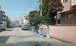 Başkan Işıksu'ya seslendiler: "Başkanım lütfen ilgilenin"