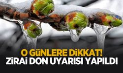 Zirai don uyarısı