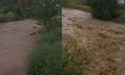 Akyazı'da yağış sonrası Yağcılar Deresi taşma noktasına geldi