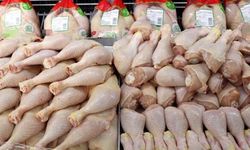 Mart ayında tavuk eti üretimi 232 bin 63 ton oldu