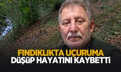 Fındık bahçesinde uçuruma düşüp öldü