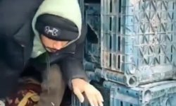 Düzce'de 7 düzensiz göçmen yakalandı