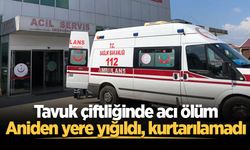 Tavuk çiftliğinde acı ölüm: Aniden yere yığıldı, kurtarılamadı