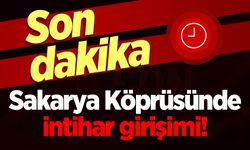 Sakarya Köprüsü'nde hareketli anlar!