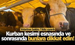 Veteriner hekim Yıldız uyardı: Kurban kesimi esnasında ve sonrasında bunlara dikkat edin!