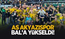 As Akyazıspor Bal'da