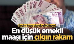Seçim kozu olarak görülüyor! En düşük emekli maaşı için çılgın rakam
