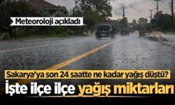 Meteoroloji açıkladı: Sakarya'ya son 24 saatte ne kadar yağış düştü? İşte ilçe ilçe yağış miktarları