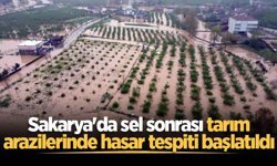 Sakarya'da sel sonrası tarım arazilerinde hasar tespiti başlatıldı