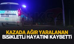 Motosikletin çarptığı bisikletli adam öldü