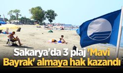 Sakarya'da 3 plaj 'Mavi Bayrak' almaya hak kazandı