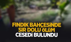 Fındık bahçesinde ceset bulundu