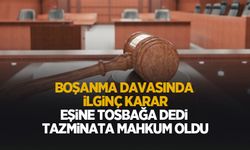 Eşine tosbağa dedi paradan ve yuvasından oldu