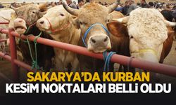 Sakarya'da kurban kesim noktaları belli oldu