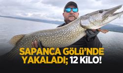 Sapanca Gölü’nde dev turna yakaladı