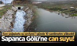 Sapanca Gölü'ne can suyu! Son yağışlarla su seviyesi 1 günde 10 santimetre yükseldi