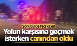 Söğütlü'de feci kaza! Yolun karşısına geçmek isterken canından oldu