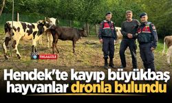 Hendek'te kayıp büyükbaş hayvanlar dronla bulundu