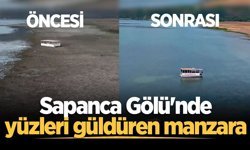 Sapanca Gölü'nde yüzleri güldüren manzara! 'Öncesi-sonrası' görüntüleri paylaşıldı