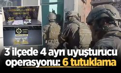 Sakarya'da 3 ilçede 4 ayrı uyuşturucu operasyonu: 6 tutuklama