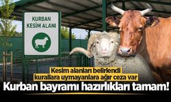 Sakarya’da kurban bayramı hazırlıkları tamamlandı: Kesim alanları belirlendi, kurallara uymayanlara ağır ceza var