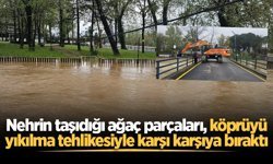 Nehrin taşıdığı ağaç parçaları, köprüyü yıkılma tehlikesiyle karşı karşıya bıraktı