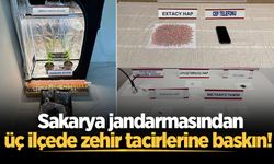 Sakarya jandarmasından üç ilçede zehir tacirlerine baskın! Evde skunk serası kurmuşlar: 2 tutuklama