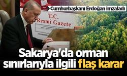 Resmi Gazete'de yayımlandı: Sakarya'da o alan orman sınırları dışına çıkarıldı