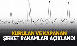 Kurulan ve kapanan şirket istatistikleri