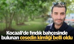 Kocaali'de fındık bahçesinde bulunan cesedin kimliği belli oldu