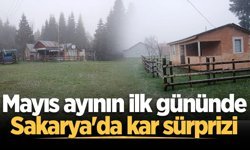 Mayıs ayının ilk gününde Sakarya'da kar sürprizi