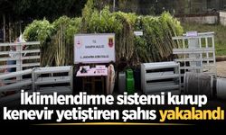 İklimlendirme sistemi kurup kenevir yetiştiren şahıs yakalandı