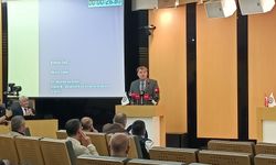 SATSO meclis üyesi Dağ, enerji sektöründeki depolama sorununa dikkat çekti: “Üretici elektriği zararına satıyor”