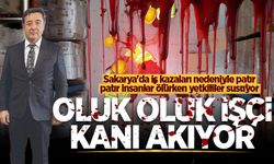 Sakarya'da iş kazaları nedeniyle patır patır insanlar ölürken yetkililer susuyor